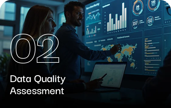 Data Quality Assessment